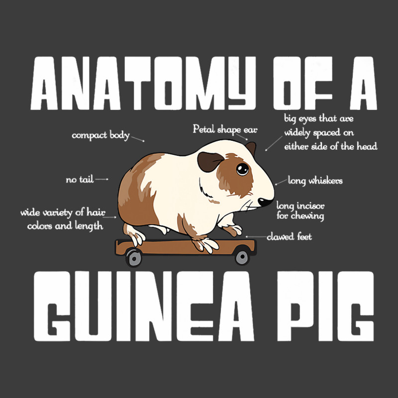 Anatomy Of A Guinea Pig Lover Funny Rodent Pet Ani Men's Polo Shirt | Artistshot