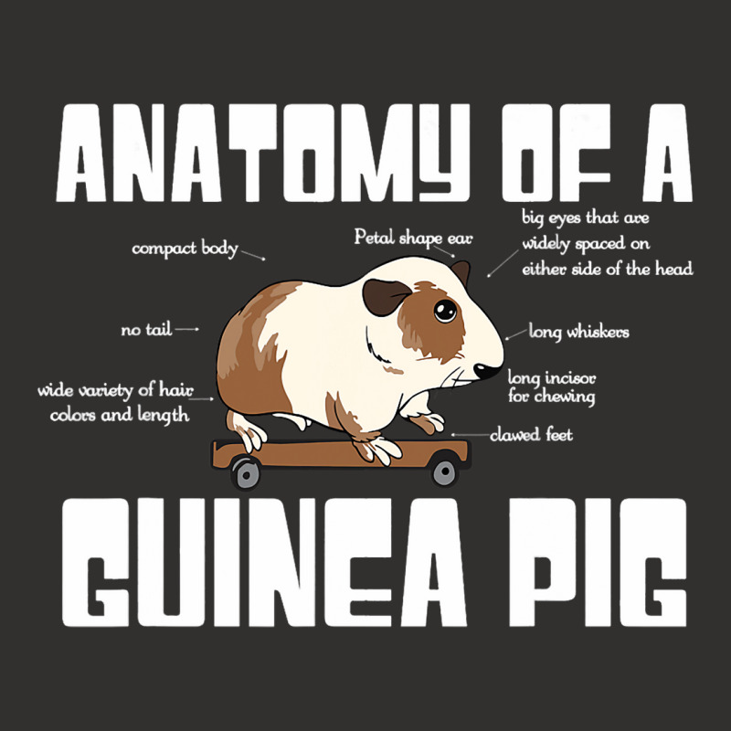 Anatomy Of A Guinea Pig Lover Funny Rodent Pet Ani Champion Hoodie | Artistshot