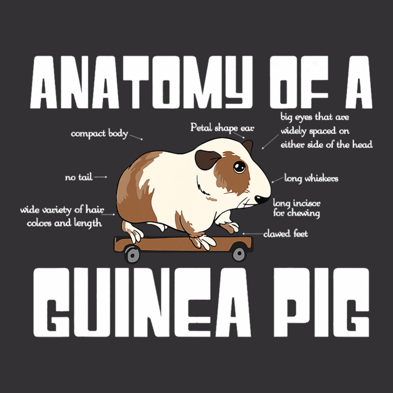 Anatomy Of A Guinea Pig Lover Funny Rodent Pet Ani Vintage Hoodie And Short Set | Artistshot