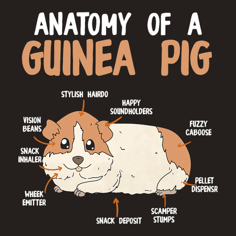 Anatomy Of A Guinea Pig Rodent Guinea Pig Tank Top | Artistshot