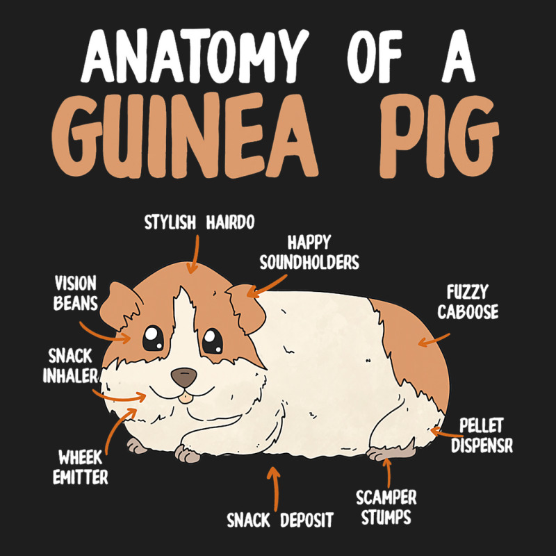 Anatomy Of A Guinea Pig Rodent Guinea Pig Classic T-shirt | Artistshot