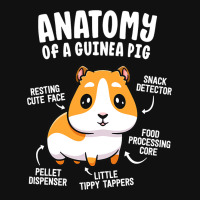 Anatomy Of A Guinea Pig Shirts For Women Kids Furr Graphic T-shirt | Artistshot