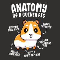 Anatomy Of A Guinea Pig Shirts For Women Kids Furr Champion Hoodie | Artistshot