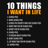 10 Things I Want In Life Guinea Pigs Men Woman Gui Graphic T-shirt | Artistshot