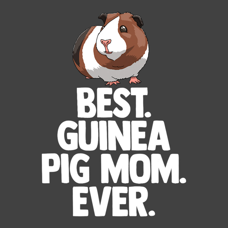 Best Guinea Pig Mom Ever Tee Shirt Women Funny Gui Vintage T-shirt | Artistshot