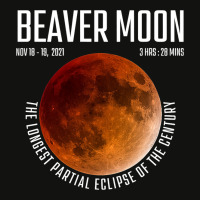 Beaver Moon The Longest Partial Lunar Eclipse Scorecard Crop Tee | Artistshot