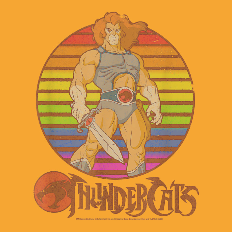 Thundercats Lion O Rainbow Sunset Poster T Shirt Basic T-shirt by toroooo | Artistshot