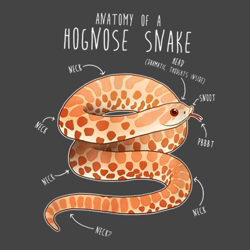 Anatomy Of A Albino Hognose Snake T Shirt Basic T-shirt by PET LOVE | Artistshot