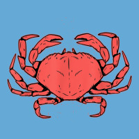 Crab Crustacean T Shirt Basic Youth T-shirt | Artistshot