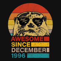 Awesome Since December 1996 Otter 25 Year Old Birt Graphic T-shirt | Artistshot