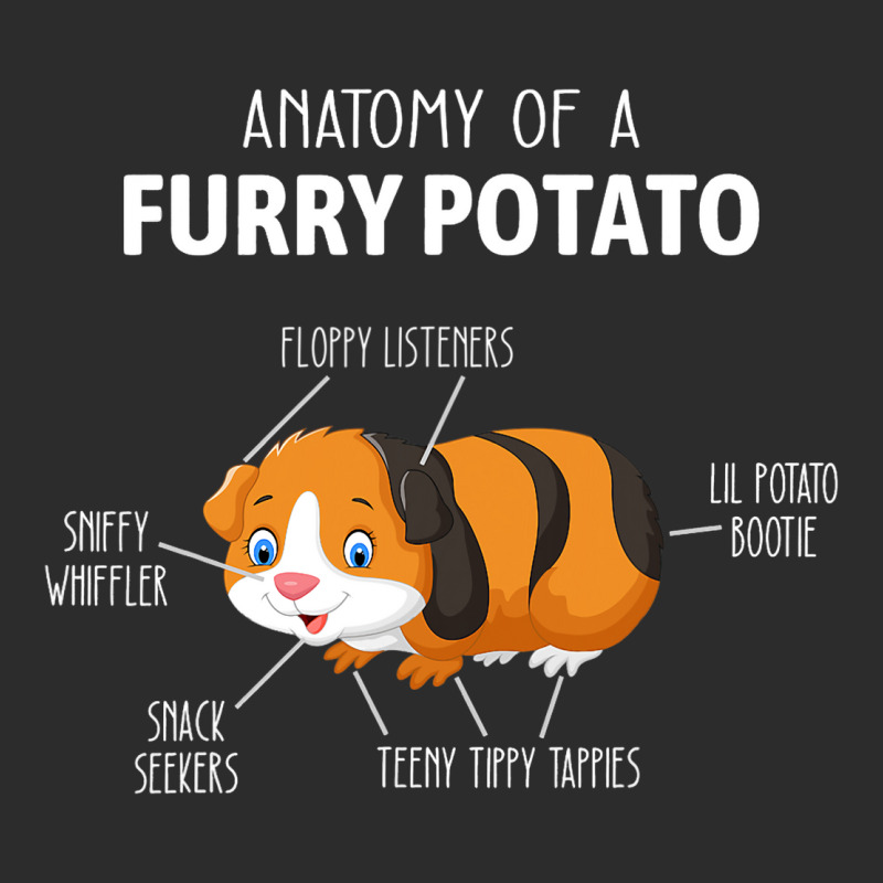 Funny Anatomy Of A Furry Potato Guinea Pig Lover G Exclusive T-shirt | Artistshot