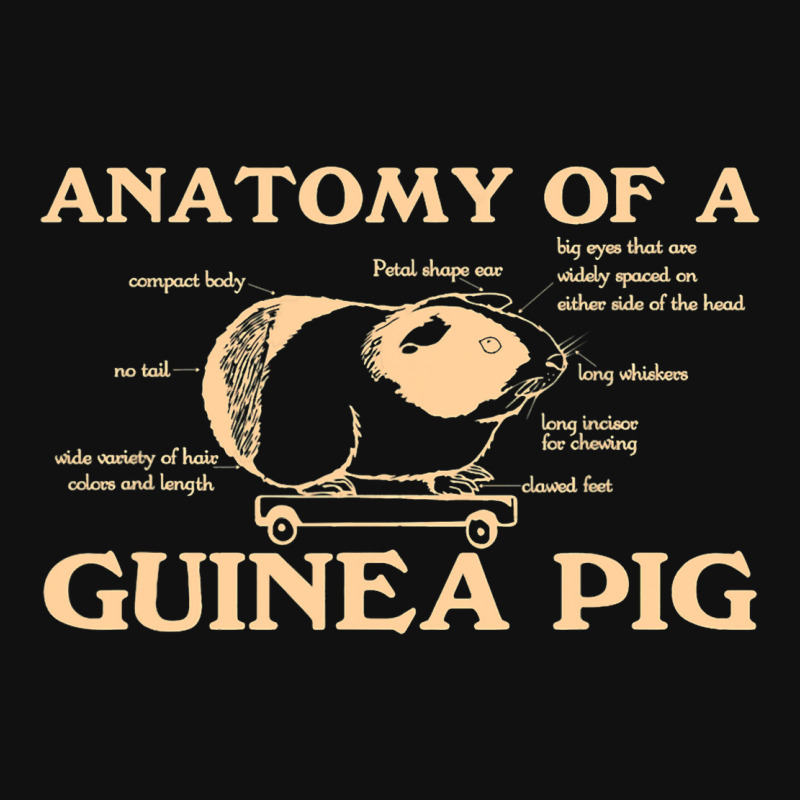 Funny Anatomy Of A Guinea Pig Men Women Animal45 Graphic T-shirt | Artistshot