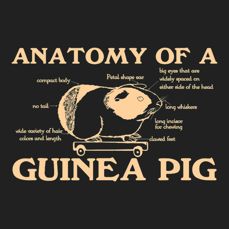 Funny Anatomy Of A Guinea Pig Men Women Animal45 Basic T-shirt | Artistshot