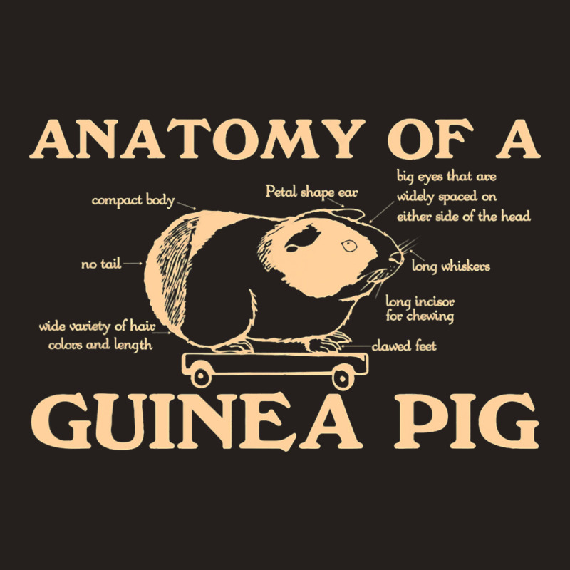 Funny Anatomy Of A Guinea Pig Men Women Animal45 Tank Top | Artistshot