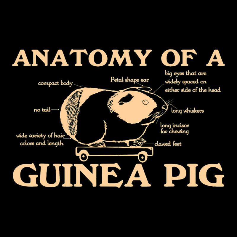 Funny Anatomy Of A Guinea Pig Men Women Animal45 Zipper Hoodie | Artistshot