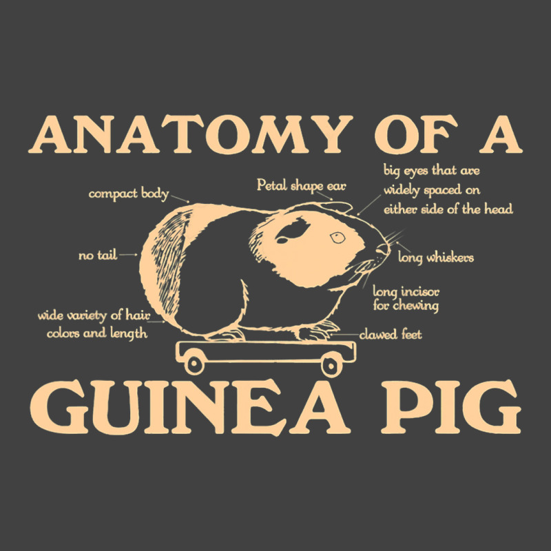 Funny Anatomy Of A Guinea Pig Men Women Animal45 Vintage T-shirt | Artistshot