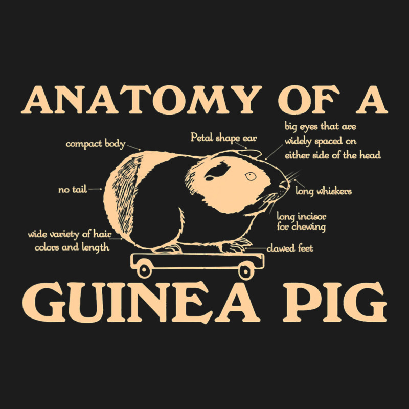 Funny Anatomy Of A Guinea Pig Men Women Animal45 Hoodie & Jogger Set | Artistshot