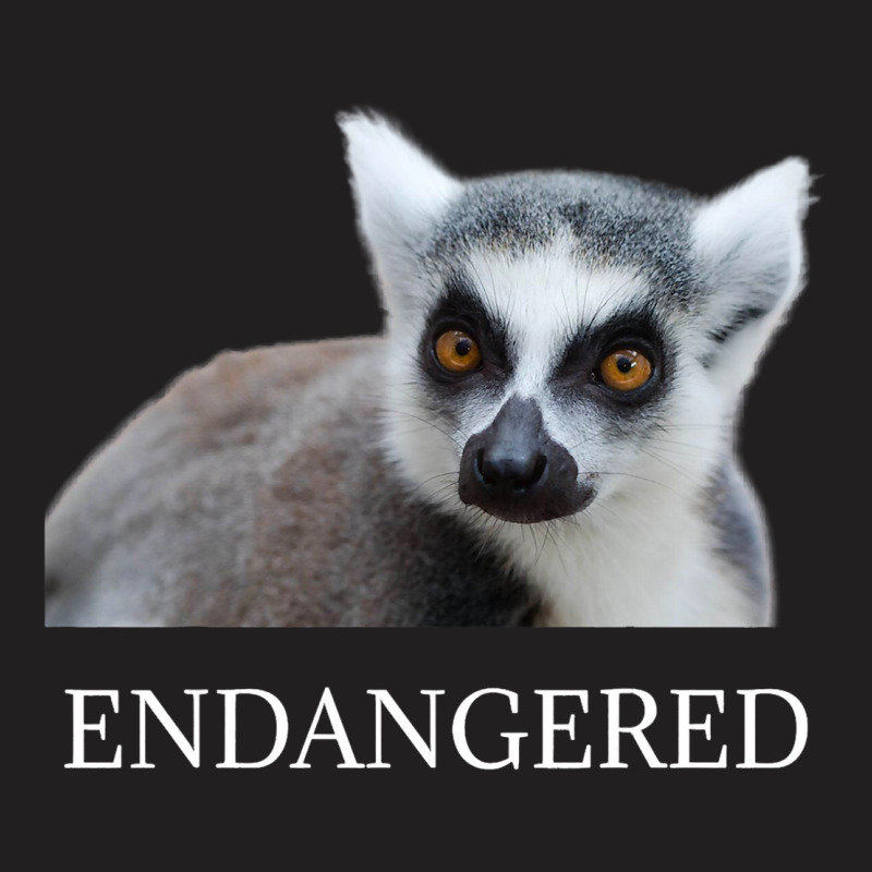 Endangered Animal Species Ringtailed Lemur Endange T-shirt | Artistshot