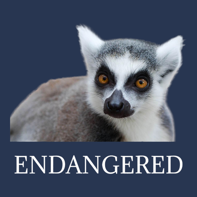 Endangered Animal Species Ringtailed Lemur Endange Men Denim Jacket | Artistshot