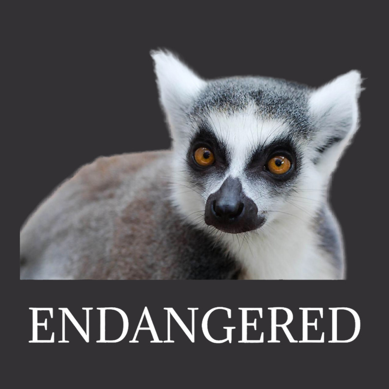 Endangered Animal Species Ringtailed Lemur Endange Vintage Hoodie And Short Set | Artistshot