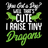 Funny Pet Chinese Water Dragon Gift Lizard Humor R V-neck Tee | Artistshot