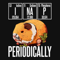 Funny Chemistry Science I Nap Periodically Guinea  Graphic T-shirt | Artistshot