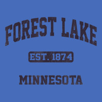 Forest Lake Minnesota Mn Vintage State Athletic Style T Shirt Basic Youth T-shirt | Artistshot