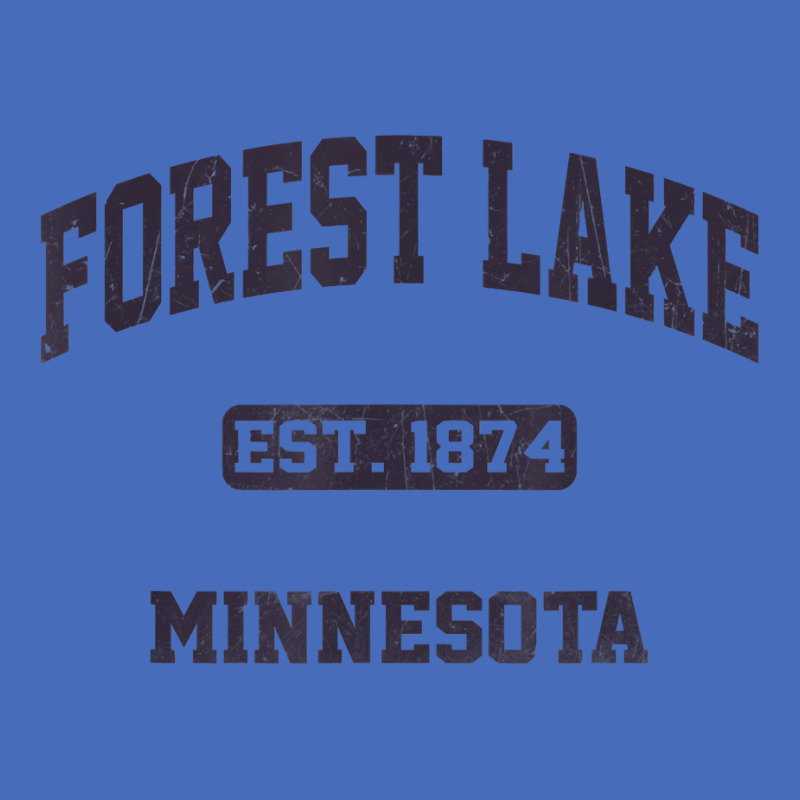 Forest Lake Minnesota Mn Vintage State Athletic Style T Shirt Basic Youth T-shirt by bendlelobeltzoer | Artistshot