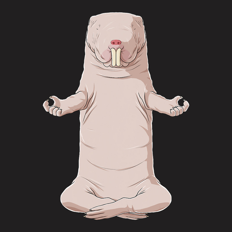 Funny Yoga Animal Naked Mole Rat T-shirt | Artistshot