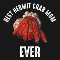 Best Hermit Crab Mom Ever 2hermit Crab Flannel Shirt | Artistshot