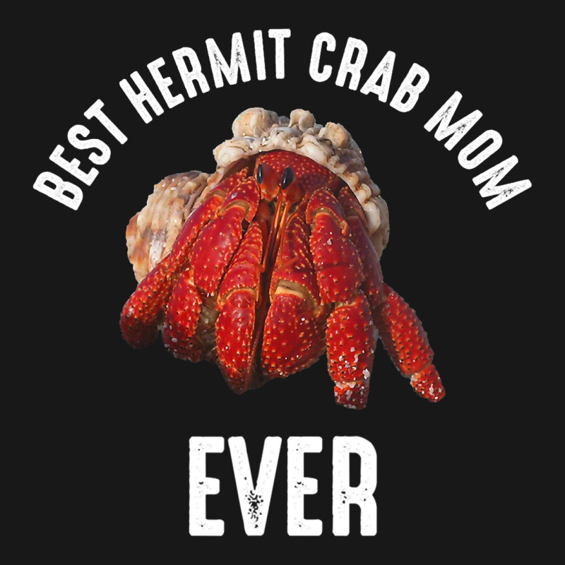 Best Hermit Crab Mom Ever 2hermit Crab Flannel Shirt | Artistshot