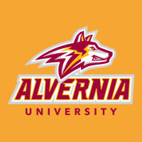 Alvernia, University Basic T-shirt | Artistshot