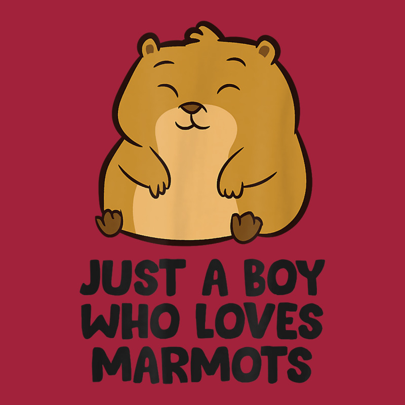 Just A Boy Who Loves Marmots T Shirt Basic Youth T-shirt by fallenafsericebe | Artistshot