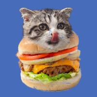 Cheeseburger Cat T  Shirt1302 Basic T-shirt | Artistshot