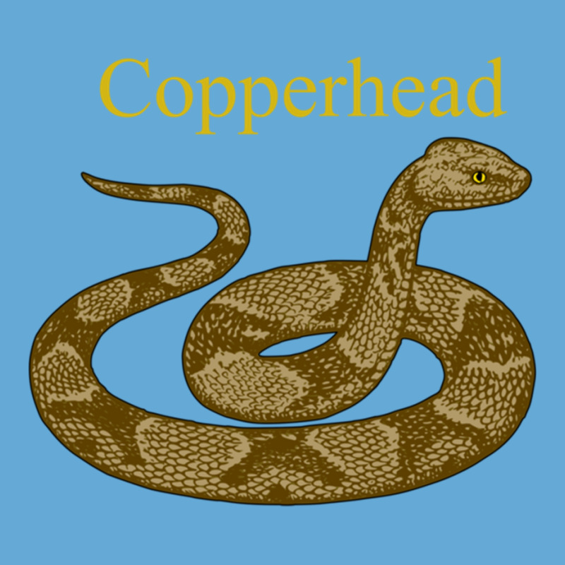 Copperhead Snake Venomous Pit Viper Long Sleeve T Shirt Basic Youth T-shirt | Artistshot