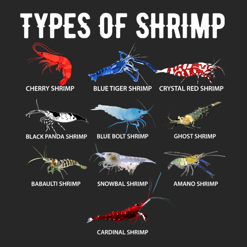 Types Of Shrimp Shirt Neocaridina Shrimp Shirt Shr Men's T-shirt Pajama Set by DEBORAHBOURSSIQUOT | Artistshot