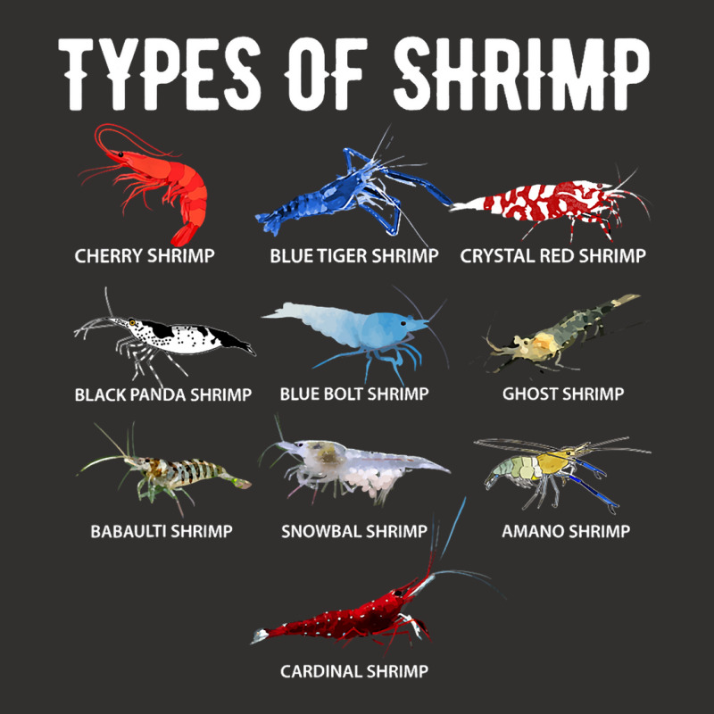 Types Of Shrimp Shirt Neocaridina Shrimp Shirt Shr Champion Hoodie by DEBORAHBOURSSIQUOT | Artistshot