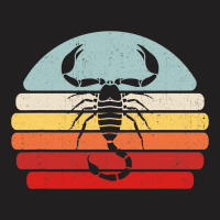 Vintage Zodiac Sign Scorpion T-shirt | Artistshot