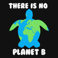 There Is No Planet B Turtle Ecofriendly 32 Graphic T-shirt | Artistshot