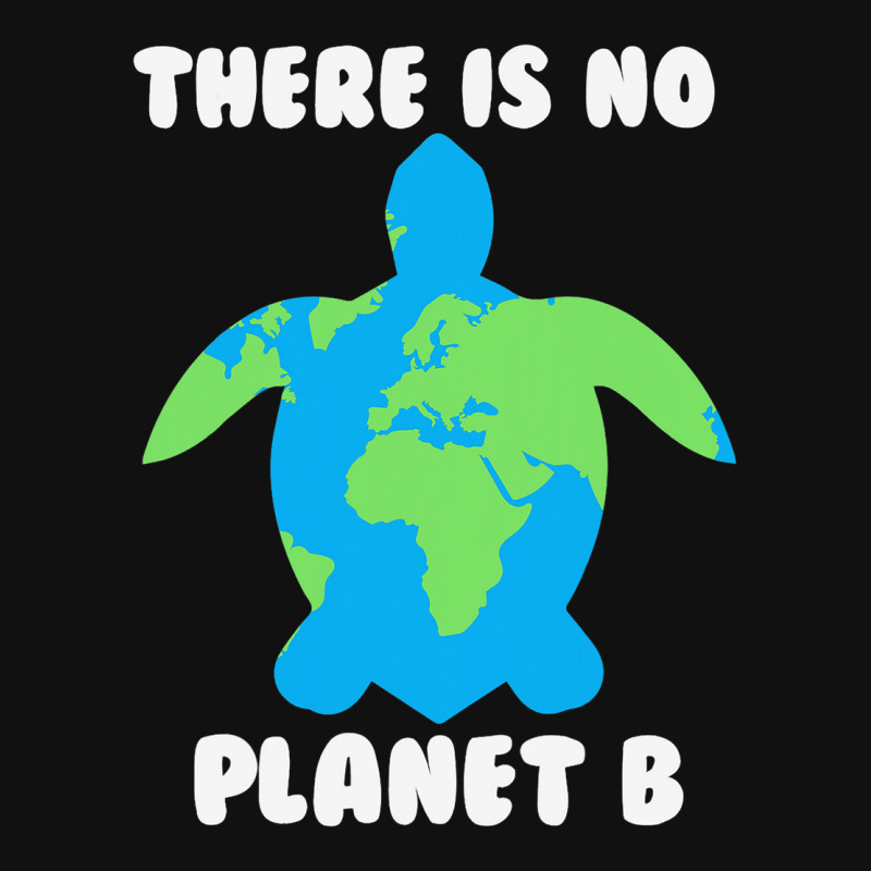 There Is No Planet B Turtle Ecofriendly 32 Graphic T-shirt | Artistshot