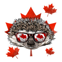 Canadian Hedgehog Maple Leaf Patriotic Canada Flag Raglan Crop Top | Artistshot