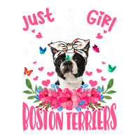 Cute Dog Lover Just A Girl Who Loves Boston Terrie Raglan Crop Top | Artistshot