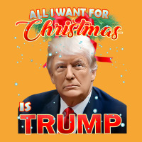 Trump 2024 I Want Trump This Christmas Basic T-shirt | Artistshot