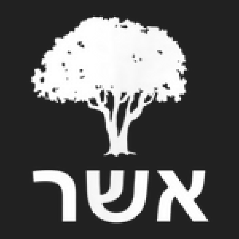 Asher Twelve 12 Tribes Israel Tree Bible Jewish Christian Basic Youth T-shirt | Artistshot