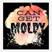 Can Get Moldy Poster Copy Copy Copy Copy Copy Copy Copy Copy Copy Copy Classic T-shirt | Artistshot