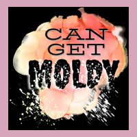 Can Get Moldy Poster Copy Copy Copy Copy Copy Copy Copy Classic T-shirt | Artistshot