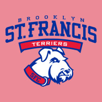 St. Francis Brooklyn Round Leatherette Patch | Artistshot