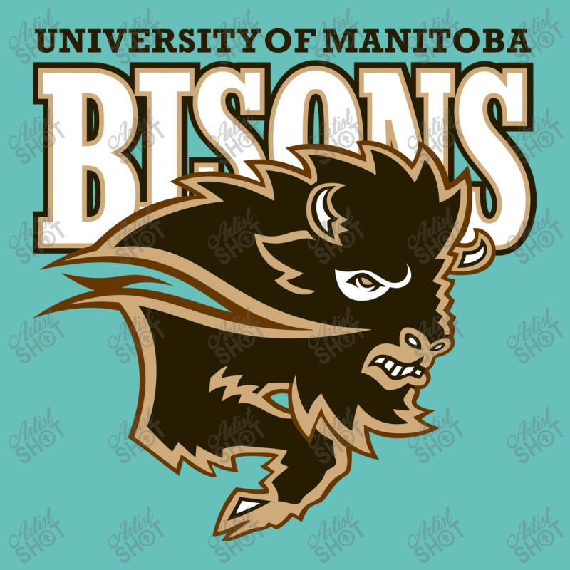 Manitoba Academic Oval Leatherette Patch | Artistshot