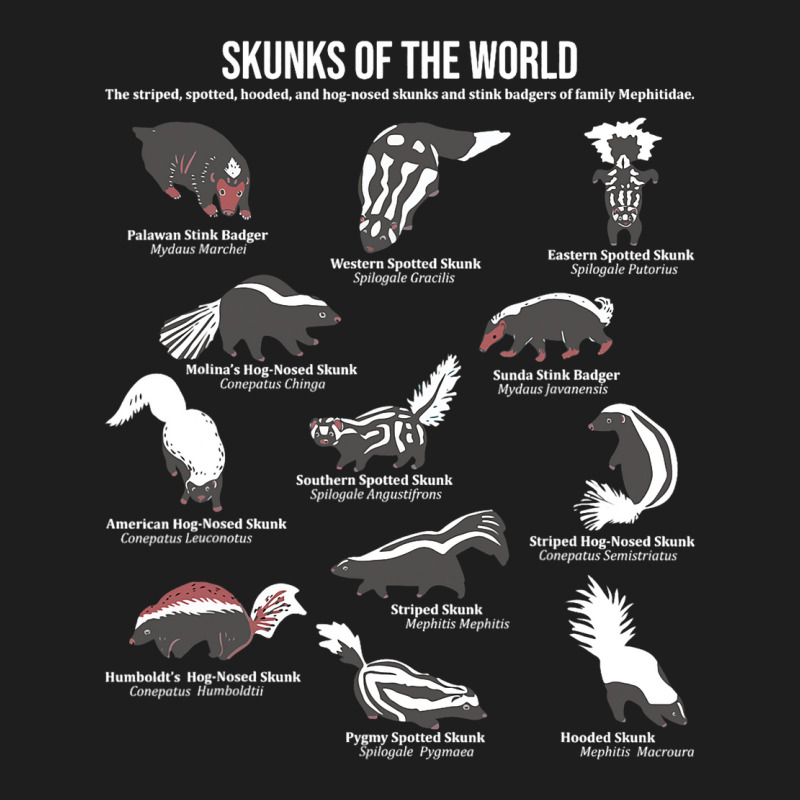 Skunks Of The World 2skunk Lover Zookeeper Zoologi Classic T-shirt by MaximilianoMonroe | Artistshot