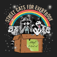 Street Cats For Everybody Trash Santa Opossum Racc Basic T-shirt | Artistshot